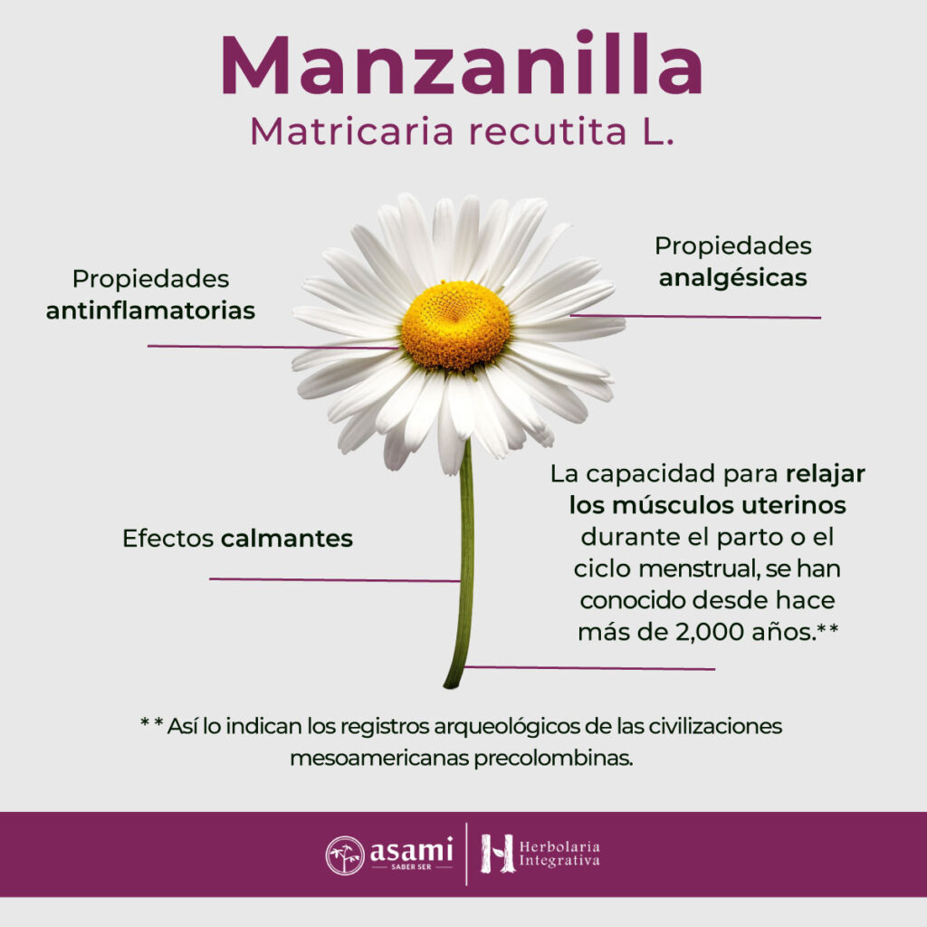 Manzanilla - Planta medicinal