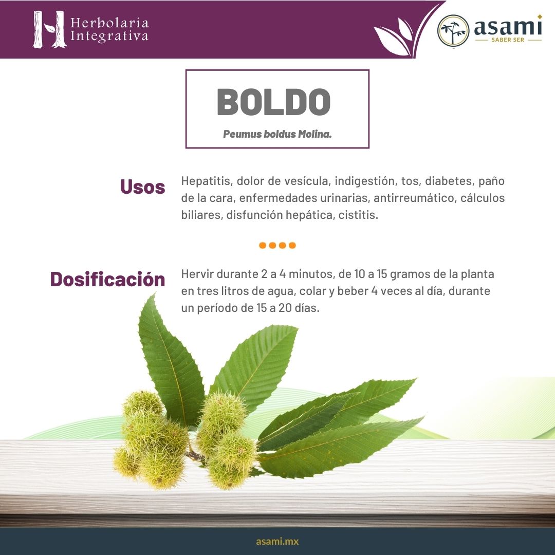 Hepatitis, dolor de vesícula, indigestión, tos, diabetes, paño de la cara, enfermedades urinarias, antirreumático, cálculos biliares, disfunción hepática, cistitis.