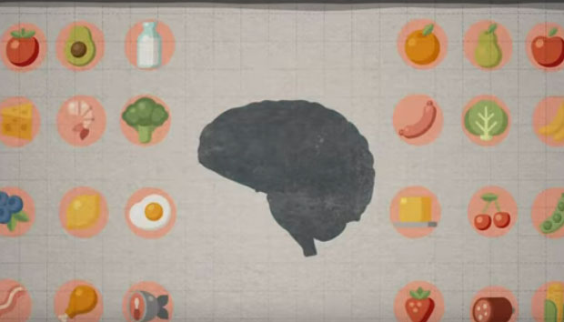 En este momento estás viendo Cómo afectan a tu cerebro los alimentos que consumes