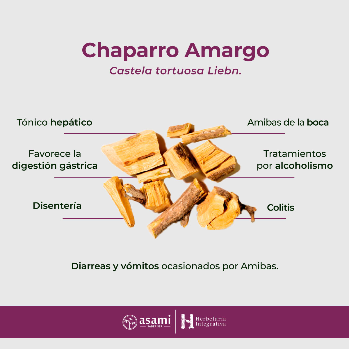 Chaparro amargo. Amibas, diarrea, tónico hepático, tónico estomáquico, alcoholismo, disentería, amibas de la boca, colitis.