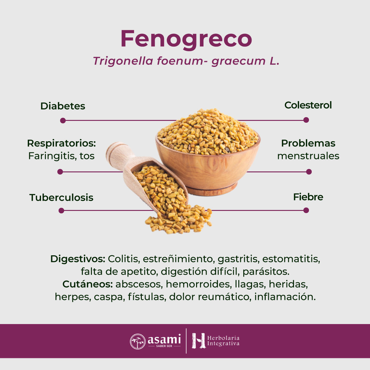 Fenogreco. Planta medicinal. Hervir durante 5 a 6 minutos, de 10 a 15 gramos de las semillas en tres litros de agua, colar y beber 4 veces al día, durante un período de 15 a 20 días.