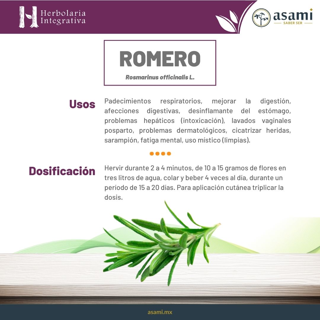 Padecimientos respiratorios, mejorar la digestión, afecciones digestivas, desinflamante del estómago, problemas hepáticos (intoxicación), lavados vaginales posparto, problemas dermatológicos, cicatrizar heridas, sarampión, evitar la caída del cabello, reumatismo, artritis, presión arterial baja, apretar dientes, fatiga mental, uso místico (limpias).