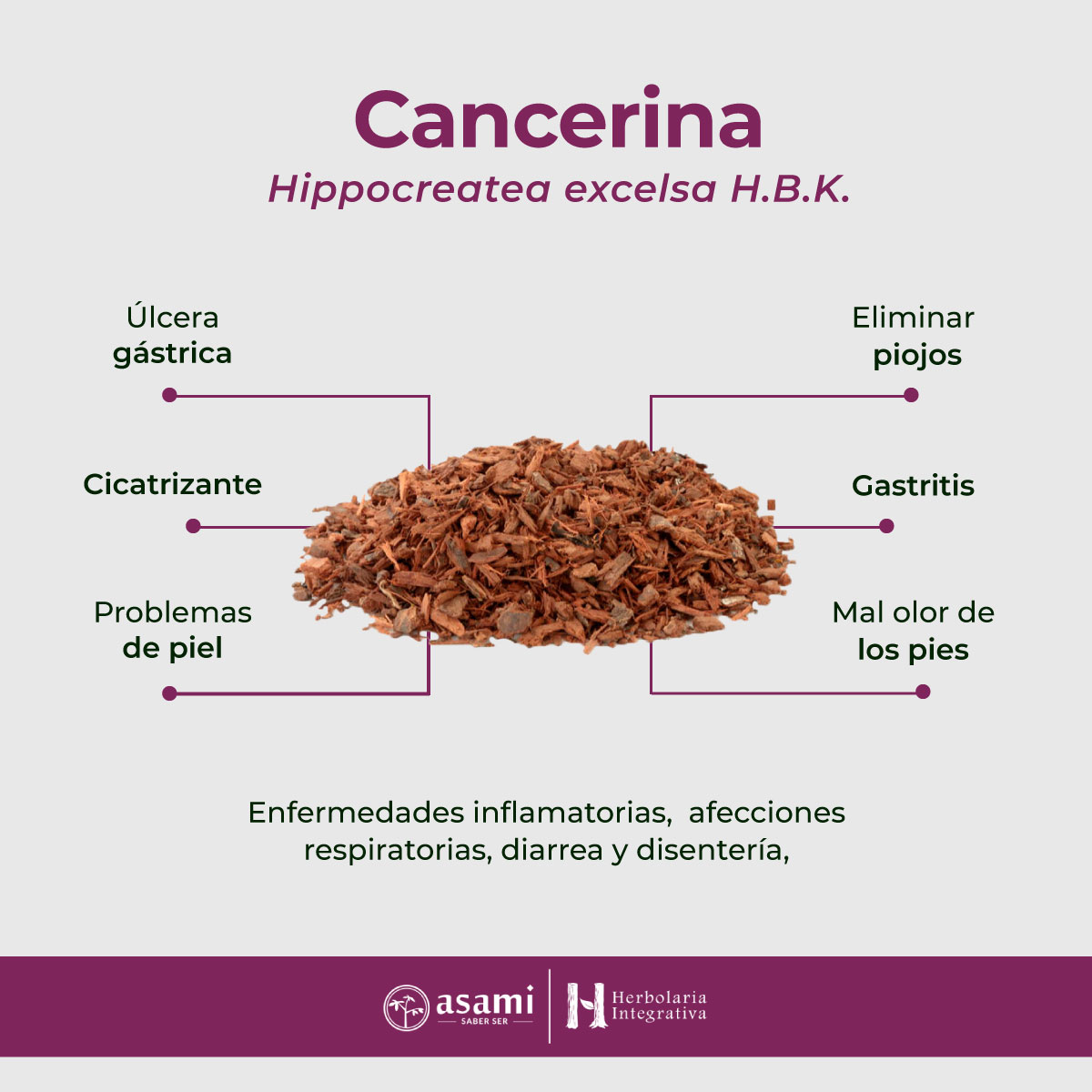 La Cancerina (Hippocratea excelsa) es una planta medicinal originaria de México y América Central. Tradicionalmente utilizada para tratar: Cáncer y tumores, Problemas gástricos, Problemas hepáticos, Dolores musculares y reumáticos, Fiebre y resfriados.