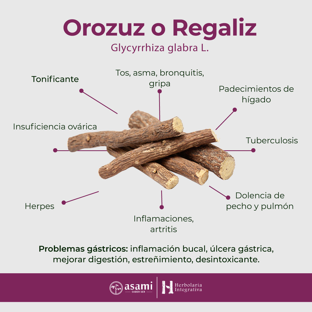 Regaliz. Herbolaria Integrativa. Adaptógenos.