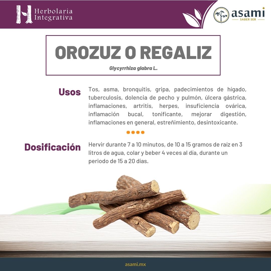 Orozuz o regaliz. Planta medicinal. Tos, asma, bronquitis, gripa, padecimientos de hígado, tuberculosis, dolencia de pecho y pulmón, úlcera gástrica, inflamaciones, artritis, herpes, insuficiencia ovárica, inflamación bucal, tonificante, mejorar digestión, inflamaciones en general, estreñimiento, desintoxicante.