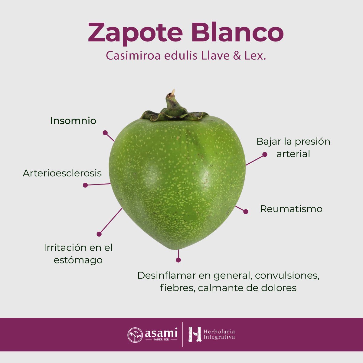 Zapote blanco. Auxiliar en el tratamiento del insomnio, bajar la presión arterial, desinflamar en general, convulsiones fiebres, calmante de dolores, reumatismo, irritación en el estómago, arterioesclerosis.