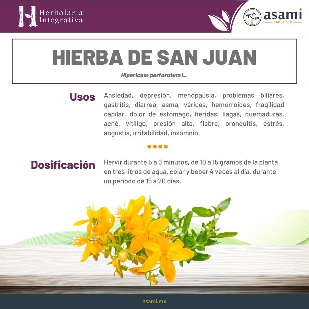 Hierba de San Juan. Ansiedad, depresión, menopausia, problemas biliares, gastritis, diarrea, asma, várices, hemorroides, fragilidad capilar, dolor de estómago, heridas, llagas, quemaduras, acné, vitíligo, presión alta, fiebre, bronquitis, estrés, angustia, irritabilidad, insomnio.