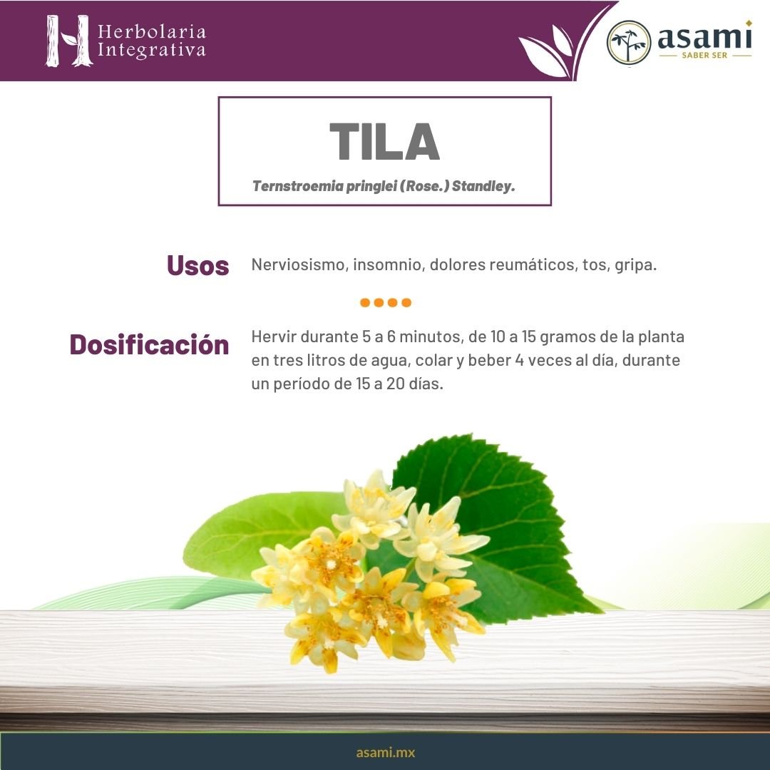 Tila. Insomnio, bajar la presión arterial, desinflamar en general, convulsiones fiebres, calmante de dolores, reumatismo, irritación en el estómago, arterioesclerosis.