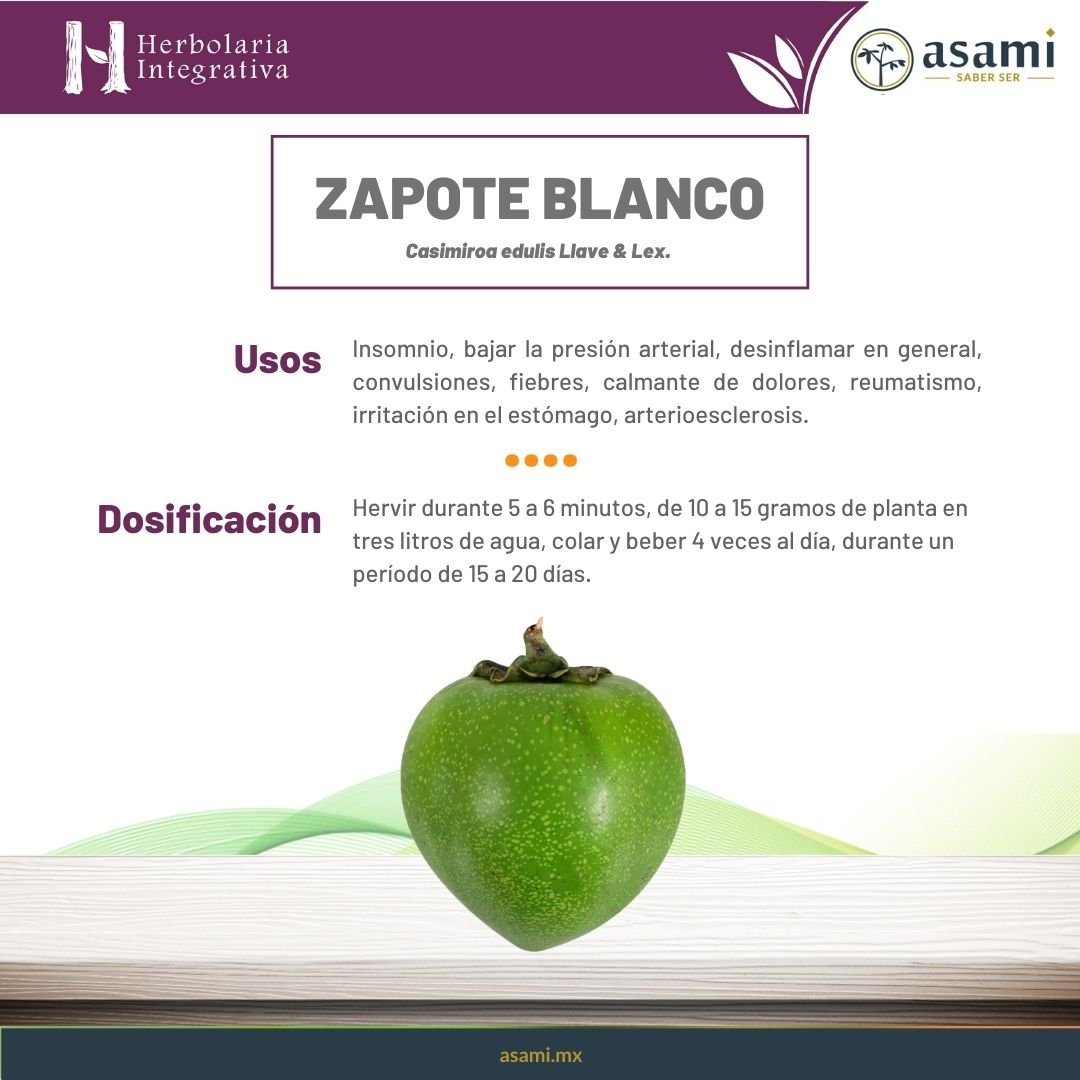 Zapote Blanco. Insomnio, bajar la presión arterial, desinflamar en general, convulsiones fiebres, calmante de dolores, reumatismo, irritación en el estómago, arterioesclerosis.