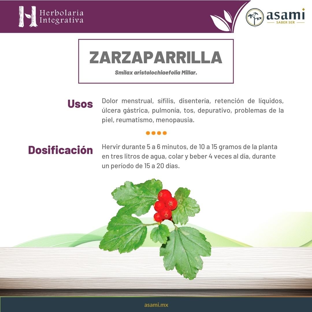 Zarzaparrilla. Dolor menstrual, sífilis, disentería, retención de líquidos, úlcera gástrica, pulmonía, tos, depurativo, problemas de la piel, reumatismo, menopausia.