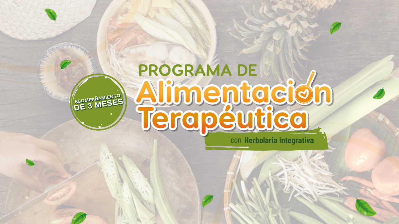 Lee más sobre el artículo Programa Alimentación Terapéutica