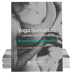 Mockup-EWS-Yoga-Somatico@400px