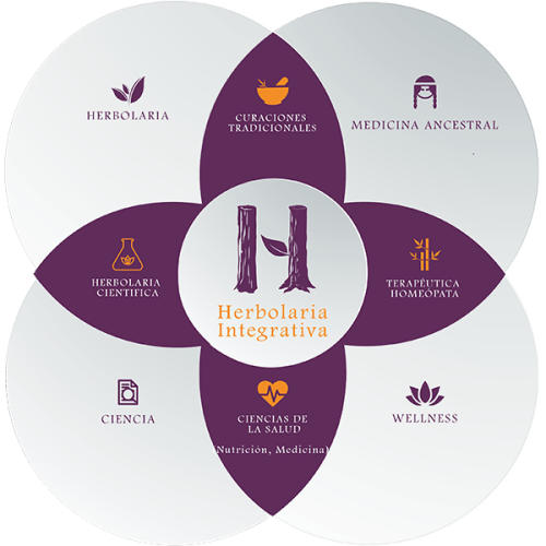 diagrama-herbolaria-integrativa-metodologia